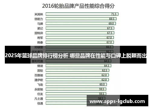 2025年篮球品牌排行榜分析 哪些品牌在性能与口碑上脱颖而出